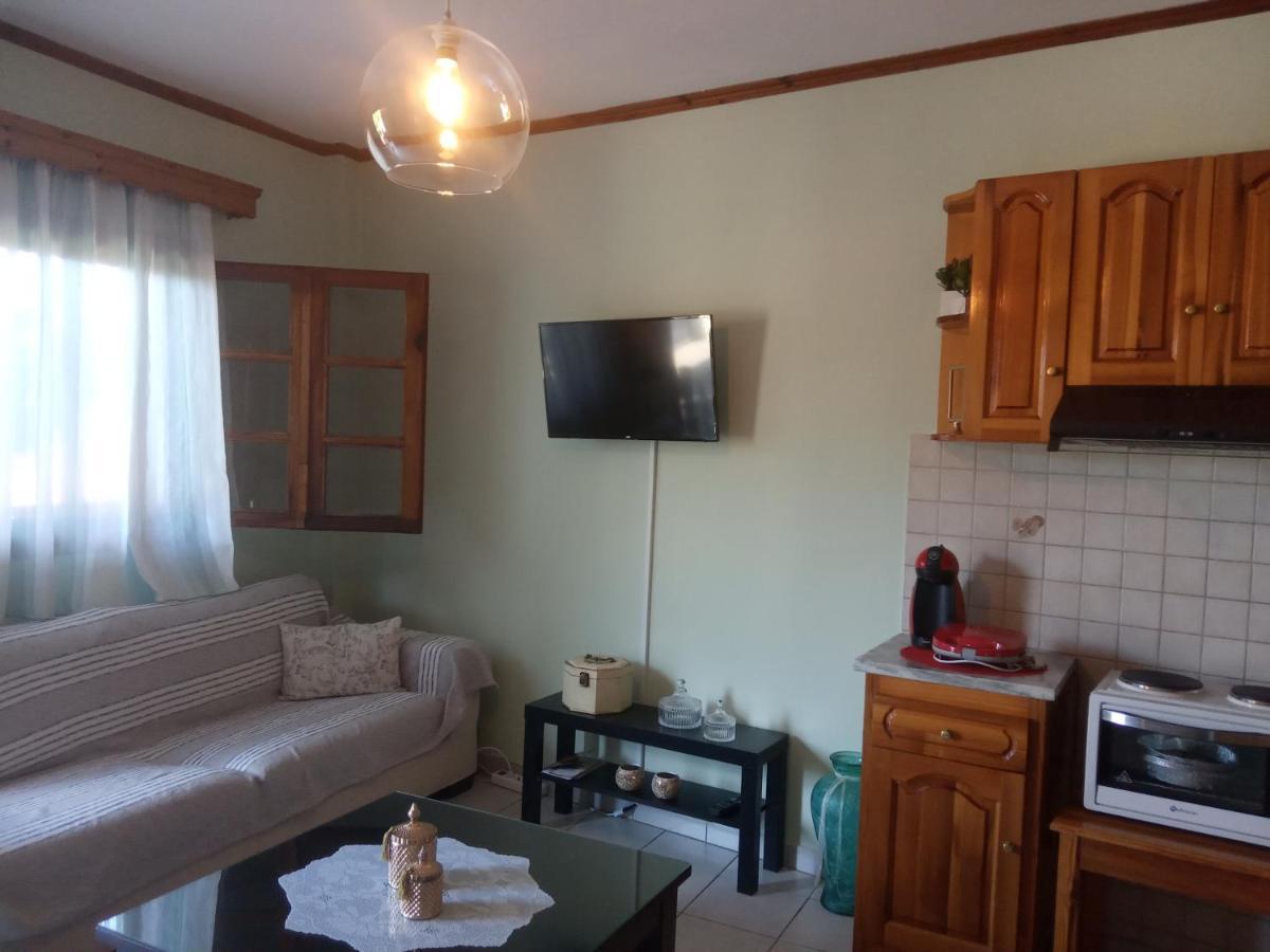 Small Town Apartment Konitsa Eksteriør billede